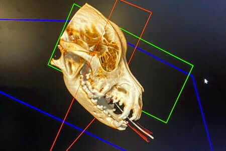 Diagnostic_Digital_Imaging