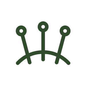 acupuncture icon