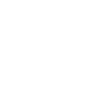 diagnostics icon