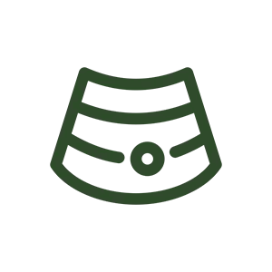 Pet imaging icon