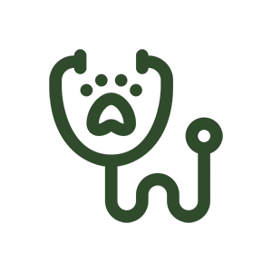 internal medicine icon