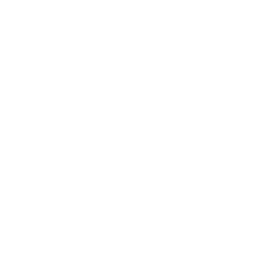 ribbon icon