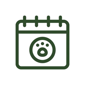 senior pet care icon