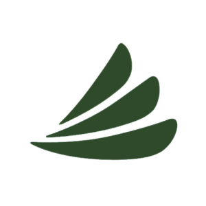 CareCredit logo payment