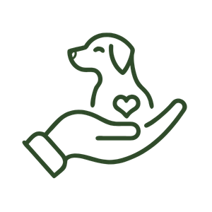 dog care hand