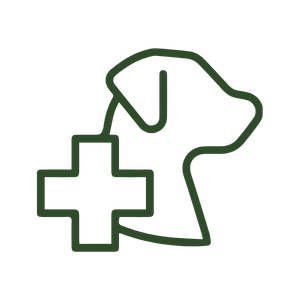 dog care plus