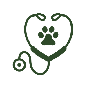 pet checkup
