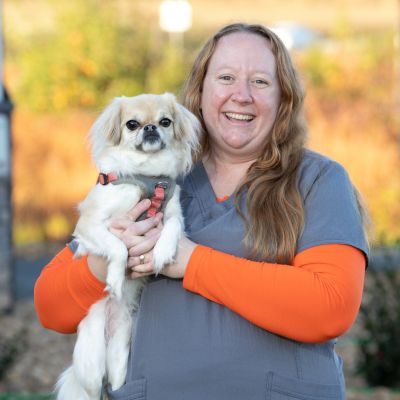 vet ASHLEE